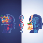 Tu colesterol, mi colesterol: Una visión desde el grupo de HTA y otros FRCV